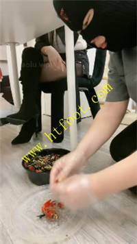 124052vys88mfa8s8af5gs.jpg