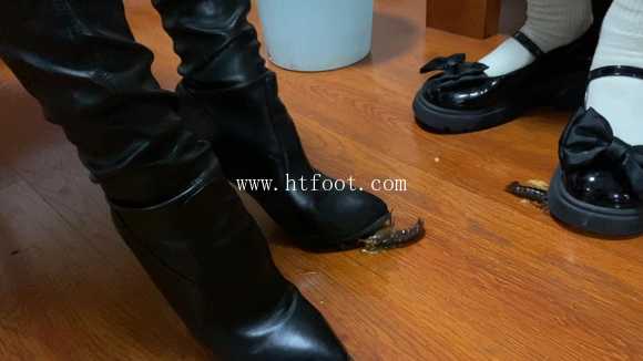 092853rnjdbz9dsjj7d2gk.jpg