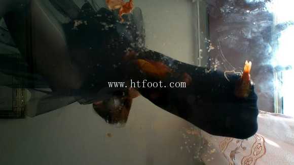 091459ov078nq7v9untcj5.jpg
