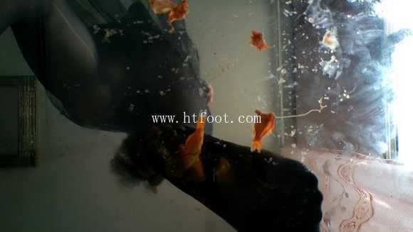091457qgh3yyh66xb05b6s.jpg