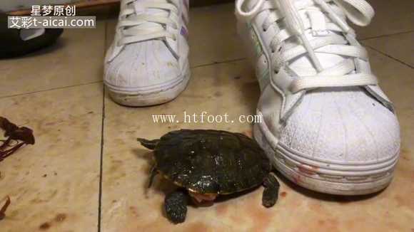 070935ft0s90t8krorrfll.jpg