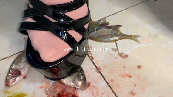 074812qw8f4pan8m8pmf4a.jpg