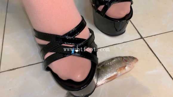 074826xy0krhaf2pszch2q.jpg