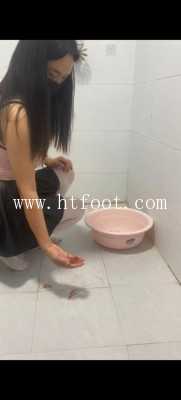 080851a31of2221rl5z9e3.jpg