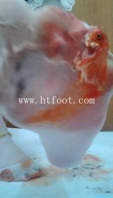 083529cxdnox97tpnfqqps.jpg