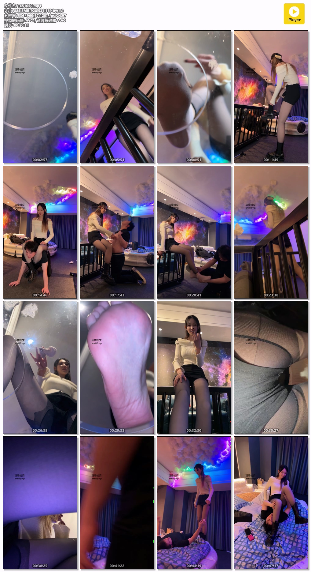 TL51050.mp4.jpg
