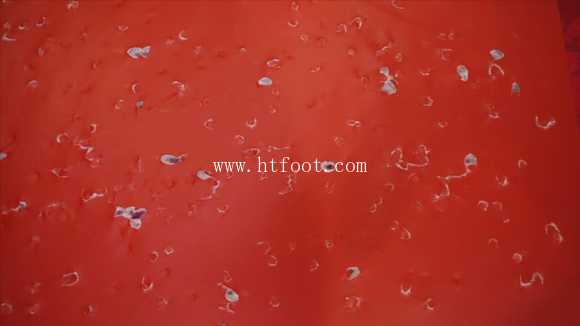 103629x0e66lie10emq3ol.jpg