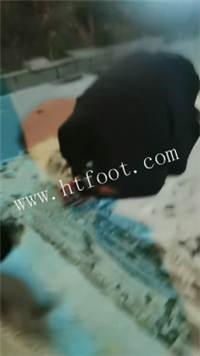 114337ckyzc6qjrmeel6cc.jpg
