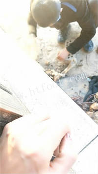 114930qit54azlsasszonp.jpg