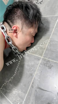 011611jz8tituc4lubocot.jpg