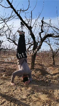 014749ozop5muzcq1cuua2.jpg