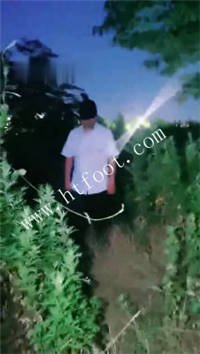 005314jawbvlqjh42wj9zb.jpg