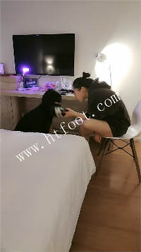010203b1h9sd7m5sgs2fdf.jpg