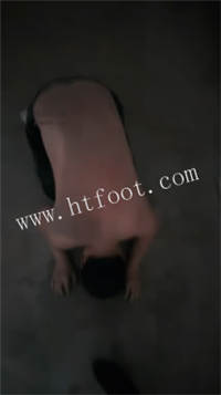 221523t9aga5utzw88tlbu.jpg