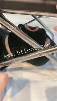 005826uxi29w8pplmsqldu.jpg