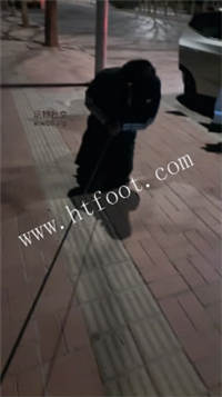 141037msf9af2mav1vmavv.jpg