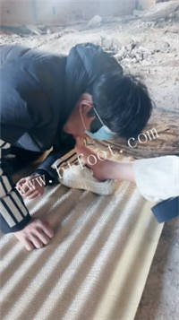 011134glngonasnzlmgrgb.jpg