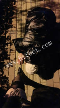 013148z402lf5lryss4jyl.jpg