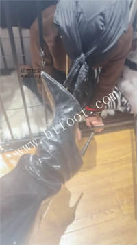142320fg8g5c8w3wfxxcg5.jpg
