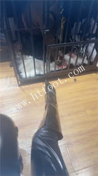 142321vr10p7evd05prfov.jpg