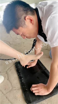 071920fhipd2020zffpigg.jpg