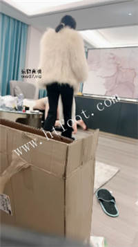 081255lozgvewve075ewnv.jpg