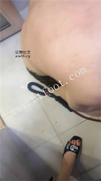 083925jjsrx87jx7syy2if.jpg