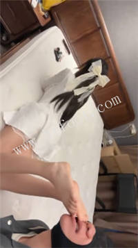 235614fbfg9mz28dopweg4.jpg