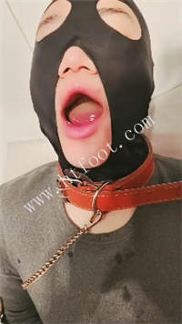 031212xstpx3spz55pt0ms.jpg