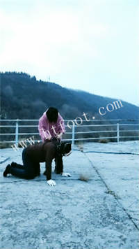 023133hpxdpjqxms1amzpa.jpg