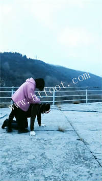 023133r6x3t5pqtqsuvaqh.jpg