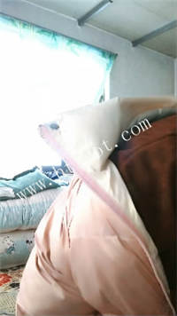 025224yhset8ohouyeohth.jpg