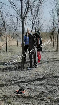 044744yatxlzidd7zamz7v.jpg