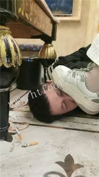 011843whbchya45hfaccya.jpg