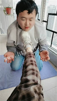 040141grsl8n6xft60mmfl.jpg