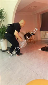 223130n7cyzooadcey13ez.jpg