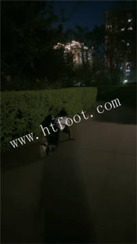 015243z4dn3qb3qqcqtott.jpg