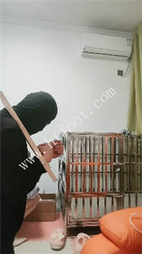 065041ki0pn0luu199j9fz.jpg