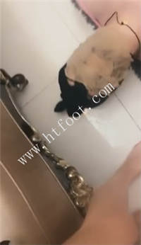 065321jflodpl7jokz7pf7.jpg