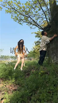 052246ca66crp5bmbp2566.jpg