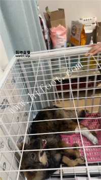 023603t1848n921btr112k.jpg