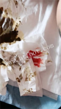 023004mv88h0cw4n3ffwwz.jpg