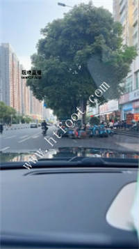 034924ls8fzqfzs87auwqz.jpg
