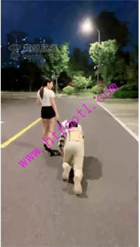 TL19274 诺曦S醉酒户外遛狗呕吐食60分钟