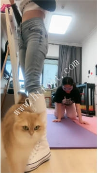 ZB4132 暴主】胯下的羞辱50分钟